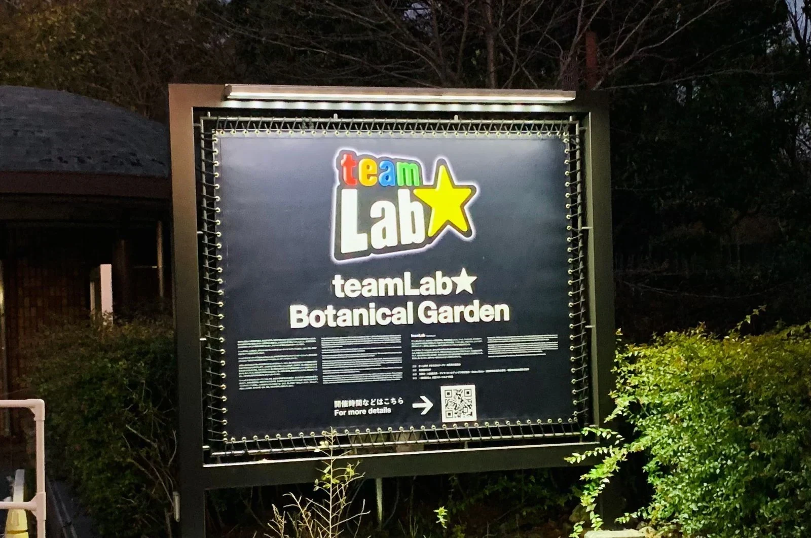 teamLab 大阪长居植物园夜间艺术 参考图 1